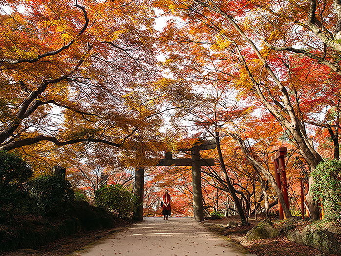 竈門神社